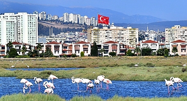 Flamingolar İzmirlileri büyülüyor