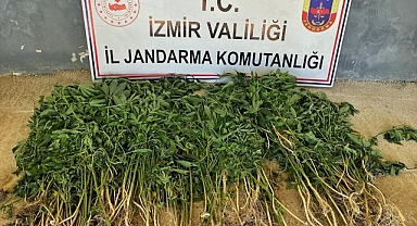 İzmir'deki uyuşturucu operasyonlarında 26 kişi yakalandı