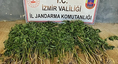 İzmir'deki uyuşturucu operasyonlarında 26 kişi yakalandı