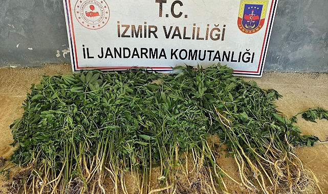 İzmir'deki uyuşturucu operasyonlarında 26 kişi yakalandı