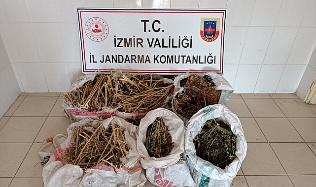 Kiraz'da uyuşturucuyla mücadele sürüyor