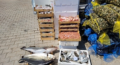 Muğla'da kaçak midye ve balık taşıyan kişiye 10 bin 711 lira ceza