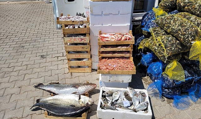 Muğla'da kaçak midye ve balık taşıyan kişiye 10 bin 711 lira ceza