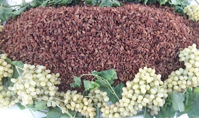 Muhteşem üçlü ihracatta 1 milyar doları geçti