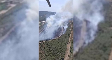 İzmir'de Orman Yangını
