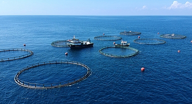 Türkiye, su ürünleri zenginliğini dünyaya ihraç ediyor