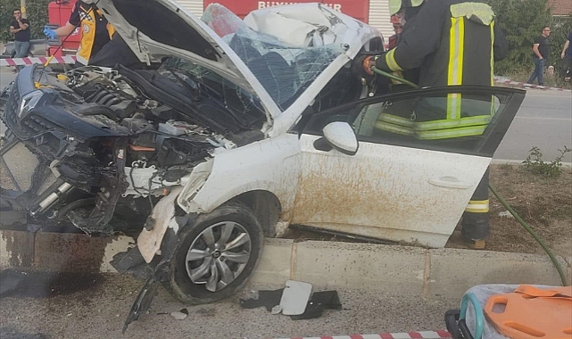 Aydınlatma direğine çarpan otomobilin sürücüsü hayatını kaybetti