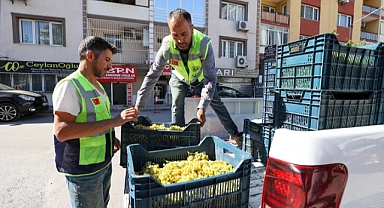 Bağcılık kültürü canlanıyor,  sofralar şenleniyor