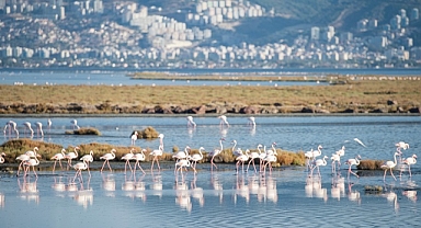 İEKKK'de yeni dönem Flamingo Yolu gezisi ile başladı