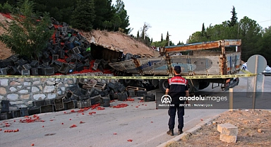 İstinat duvarına çarpan kamyonun sürücüsü öldü