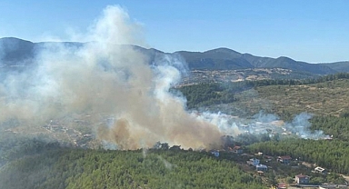 İzmir'de çıkan orman yangın kontrol altına alındı