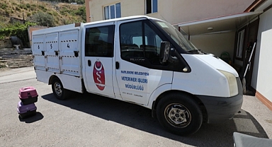 Narlıdere’de Can Dostlara Özel İlgi