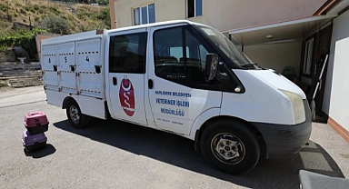 Narlıdere’de Can Dostlara Özel İlgi