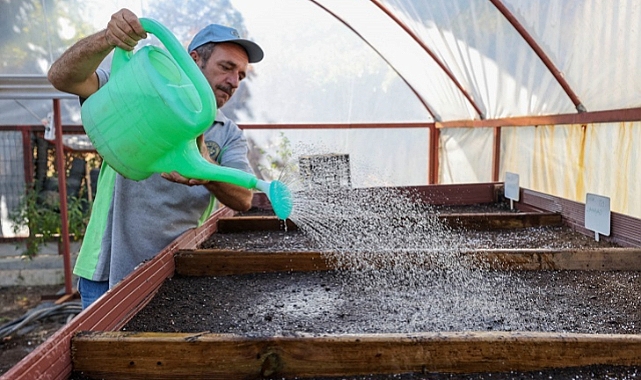 Tohumlar fidana, fidanlar yeşil Buca’ya dönüşüyor