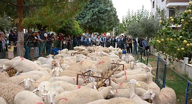 34 üreticiye daha hayvan desteği