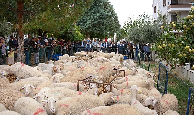 34 üreticiye daha hayvan desteği