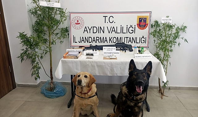 Aydın'daki uyuşturucu operasyonlarında 6 gözaltı