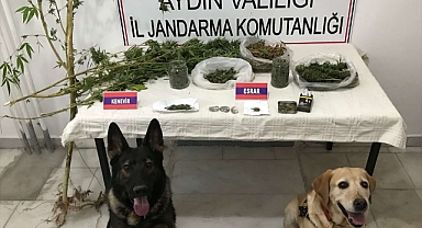 Aydın'daki uyuşturucu operasyonunda 1 kişi yakalandı