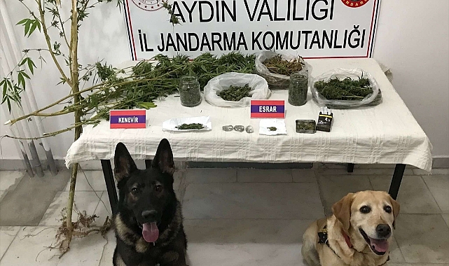 Aydın'daki uyuşturucu operasyonunda 1 kişi yakalandı