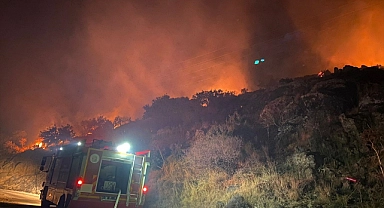 Bodrum'da makilik ve ağaçlık alanda çıkan yangın söndürüldü