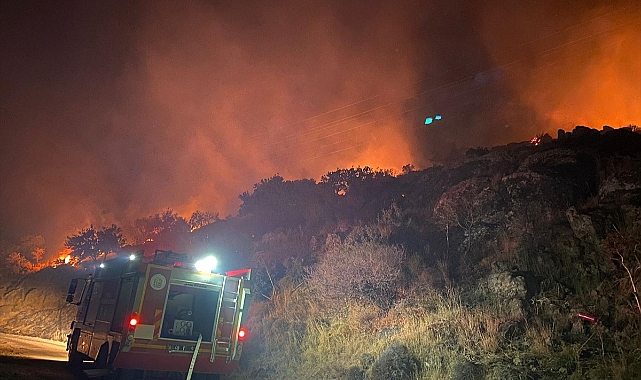 Bodrum'da makilik ve ağaçlık alanda çıkan yangın söndürüldü