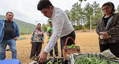 Bucalı çiftçilerden kış sezonunun ilk hasadı