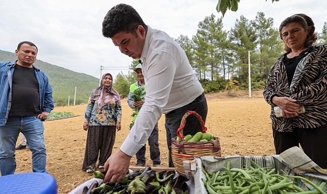 Bucalı çiftçilerden kış sezonunun ilk hasadı