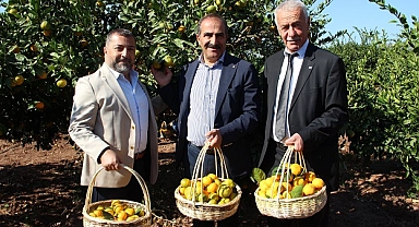 Dünyada üretilen her 100 mandalinadan 5’i Türkiye’de