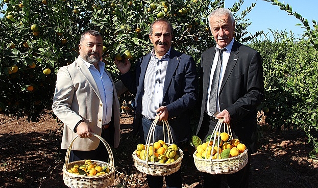 Dünyada üretilen her 100 mandalinadan 5’i Türkiye’de