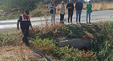 Foça'da dere yatağını atık suyla kirleten tesise  ceza