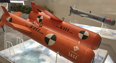 Kayı ilk kez sergilendi