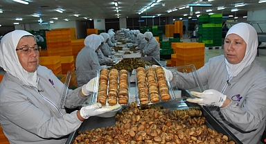 Kuru incir ihracatı sezona "tatlı" başladı