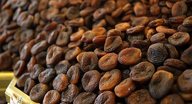 Kuru kayısıda 2 ayda 78 milyon dolarlık ihracat