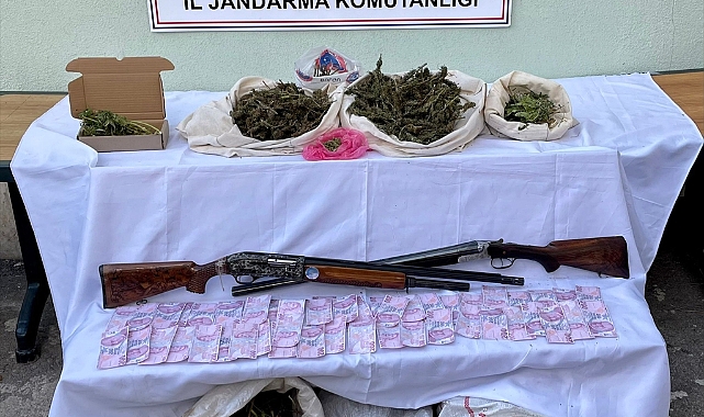 Ormanlık alana Hint keneviri ektikleri iddiasıyla 3 şüpheli yakalandı