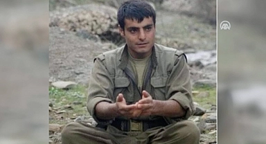 Sözde Çavreş tugayı sorumlusunu Suriye'de etkisiz hale getirdi