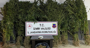 Uyuşturucu operasyonlarında 14 kişi yakalandı