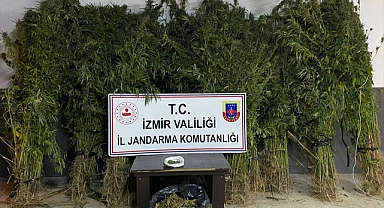 Uyuşturucu operasyonlarında 14 kişi yakalandı