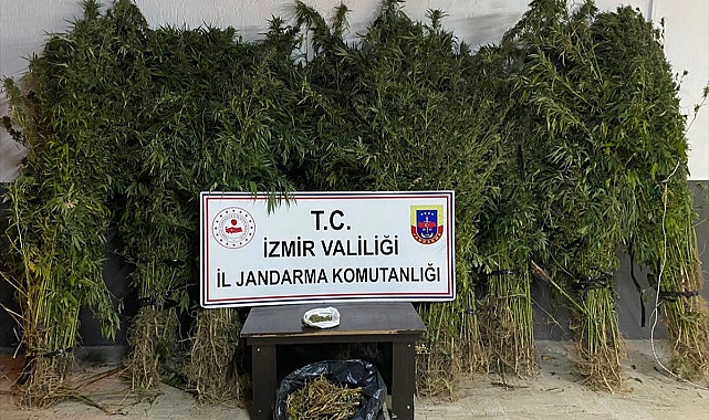 Uyuşturucu operasyonlarında 14 kişi yakalandı