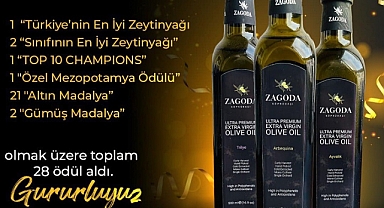 Zagoda Zeytinyağı Birinciliğe  Doymuyor