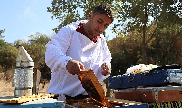 300 kovanı bulunan arıcı yeni meslektaşlar da yetiştiriyor