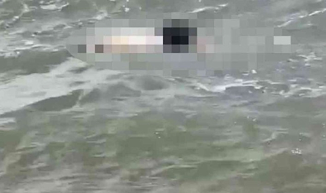 Antalya'da denizde erkek cesedi bulundu