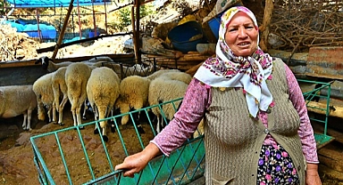 İzmir Büyükşehir Belediyesi’nin verdiği üç koyundan 48 koyuna