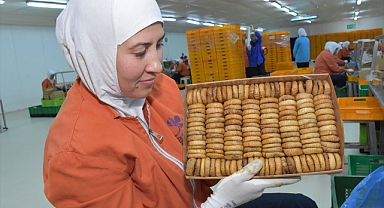 Kuru incirden sezonun ilk ayında 56 milyon dolar ihracat geliri elde etti