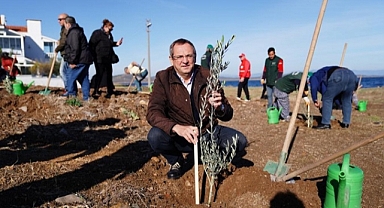 Mesut Ergin: “Dünya Zeytin Ağacı Günü Kutlu Olsun”