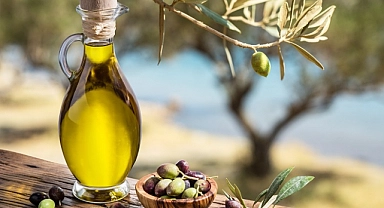 Zeytinyağı ihracatımız yüzde 50 arttı