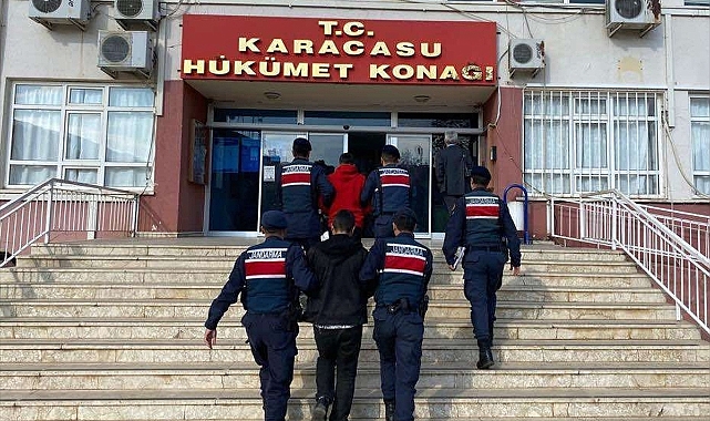 Aydın'da bahçeden zeytin çalan 2 kişi tutuklandı