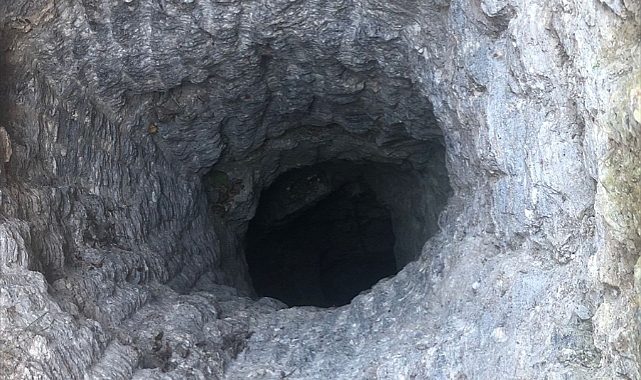 Aydın&#039;da kaçak kazı yapan 3 kişi gözaltına alındı
