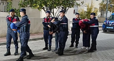 Balıkesir'de zeytin hırsızlığı yapan 18 şüpheli tutuklandı