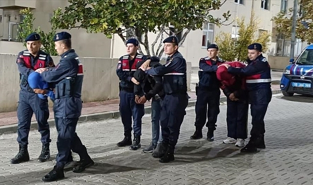 Balıkesir'de zeytin hırsızlığı yapan 18 şüpheli tutuklandı