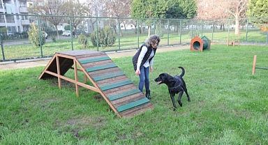 Bayraklı’da evcil hayvanlar için ‘Pati Park’